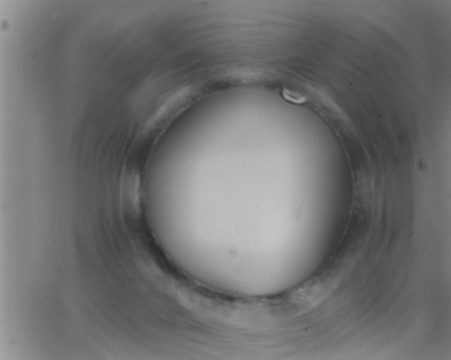 X0000063520024200601271847