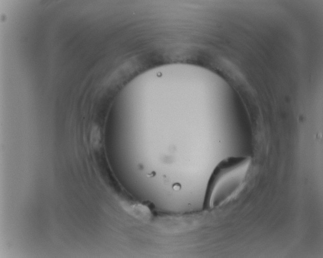 X0000063520025200601271847