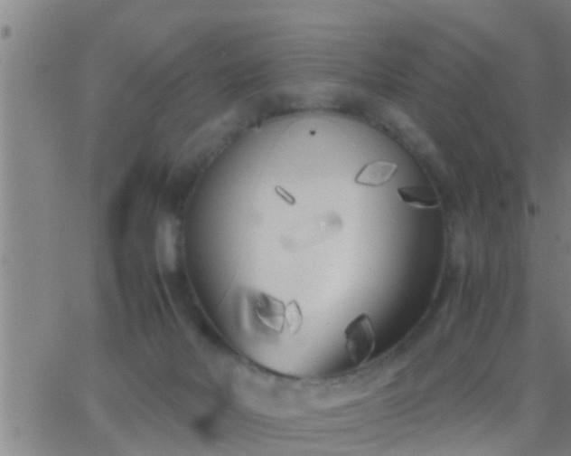 X0000063520026200601271847