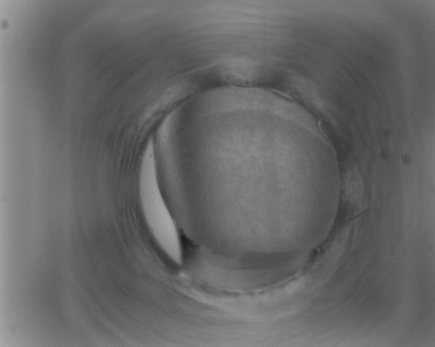 X0000063520027200601271847