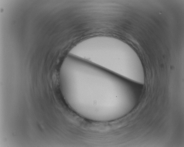 X0000063520029200601271847