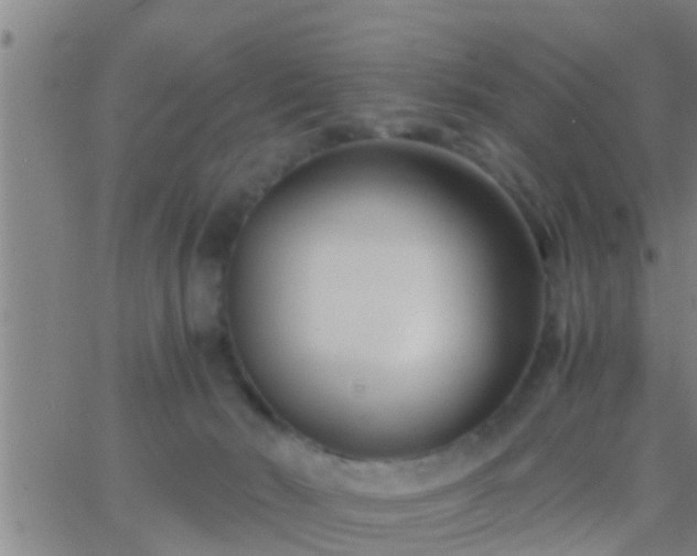 X0000063520030200601271847