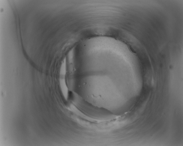 X0000063520031200601271847