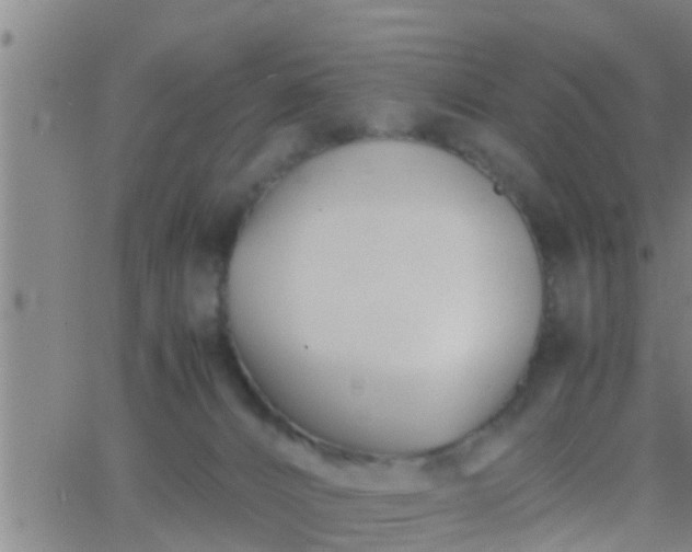 X0000063520032200601271847