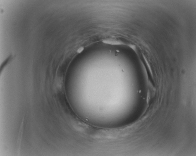 X0000063520033200601271847