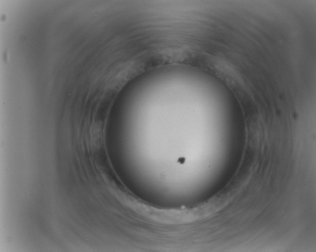 X0000063520034200601271847