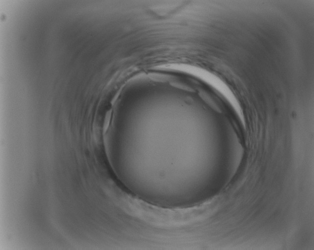 X0000063520035200601271847