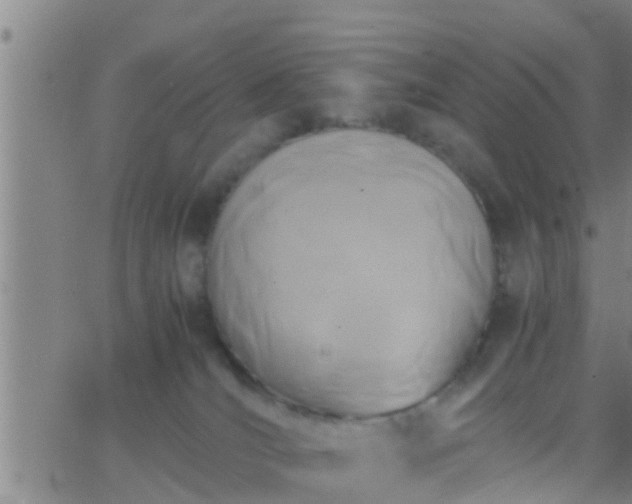 X0000063520036200601271847