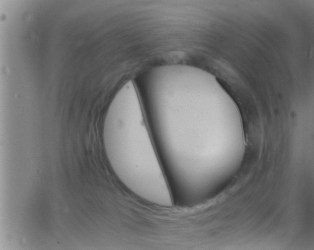 X0000063520037200601271847