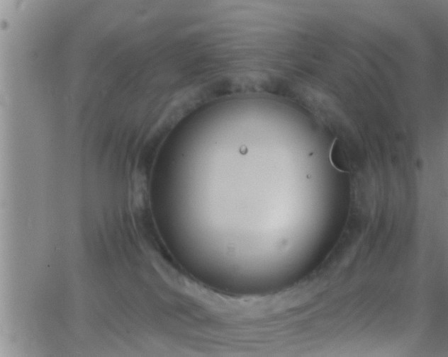 X0000063520038200601271847