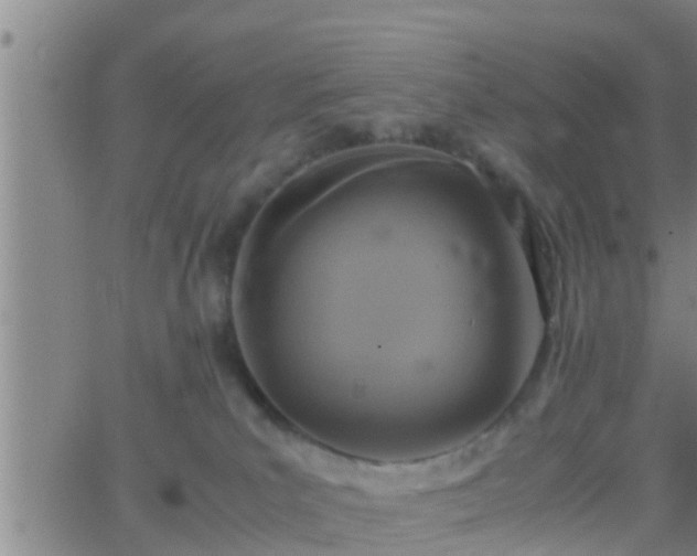 X0000063520039200601271847