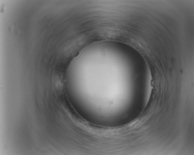 X0000063520040200601271847