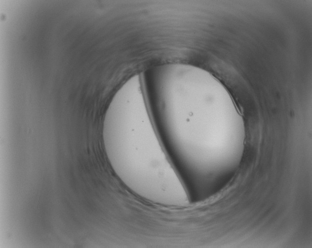 X0000063520041200601271847