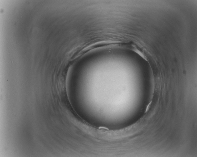 X0000063520043200601271847