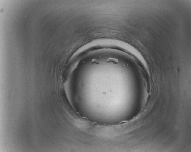 X0000063520045200601271847