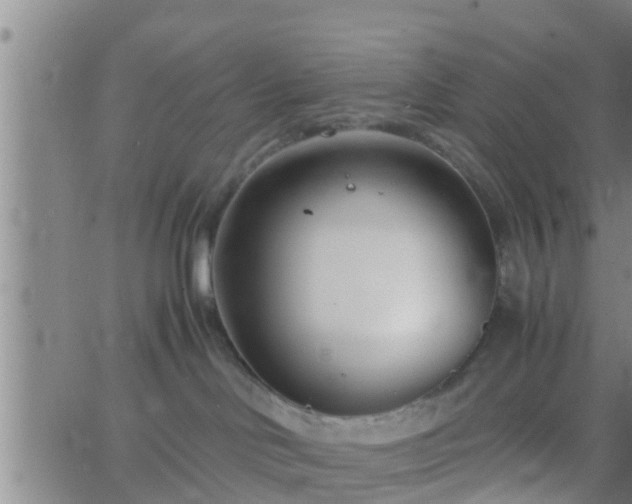 X0000063520046200601271847