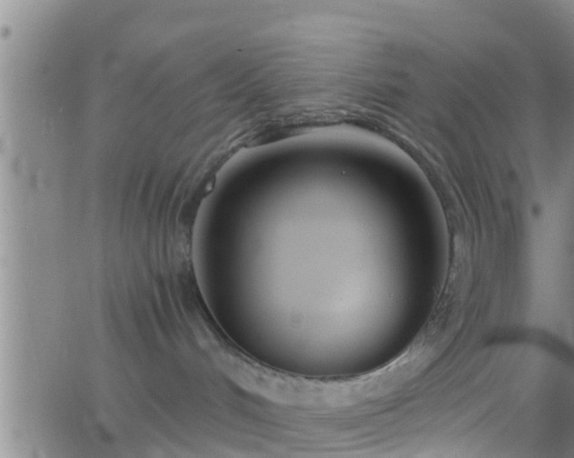 X0000063520048200601271847