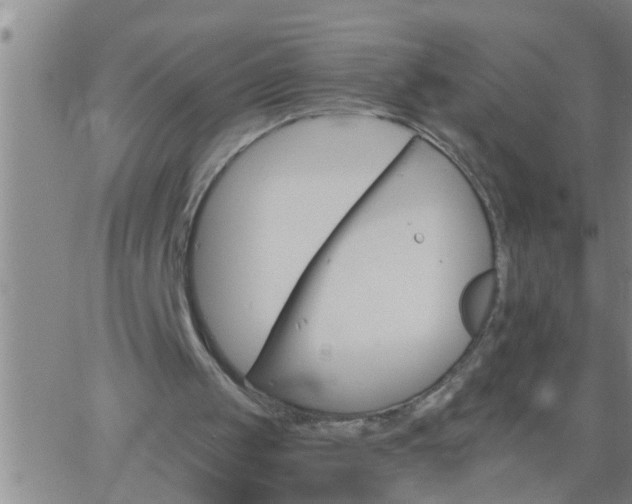 X0000063520049200601271846