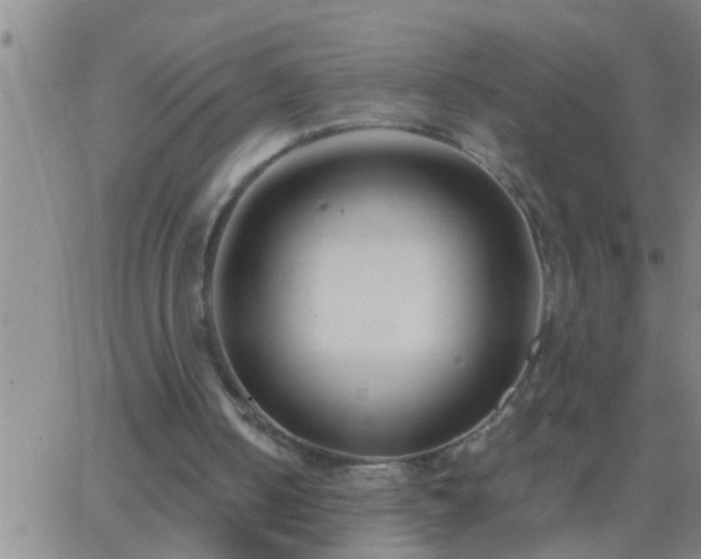 X0000063520050200601271846