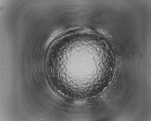 X0000063520051200601271846