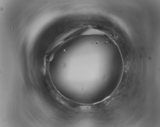 X0000063520052200601271846