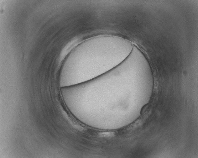 X0000063520053200601271846