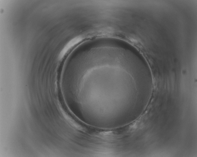 X0000063520054200601271846