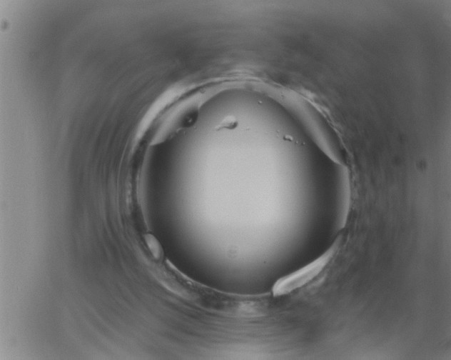 X0000063520056200601271846