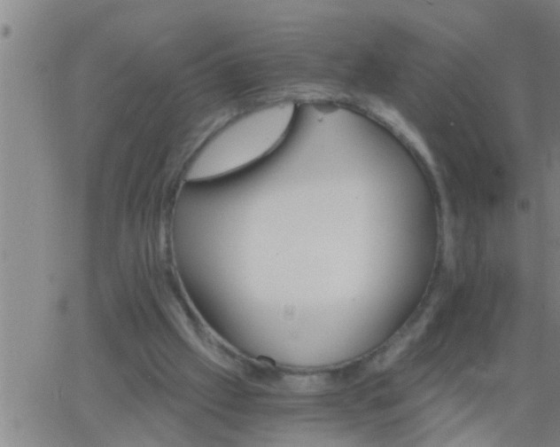 X0000063520057200601271846