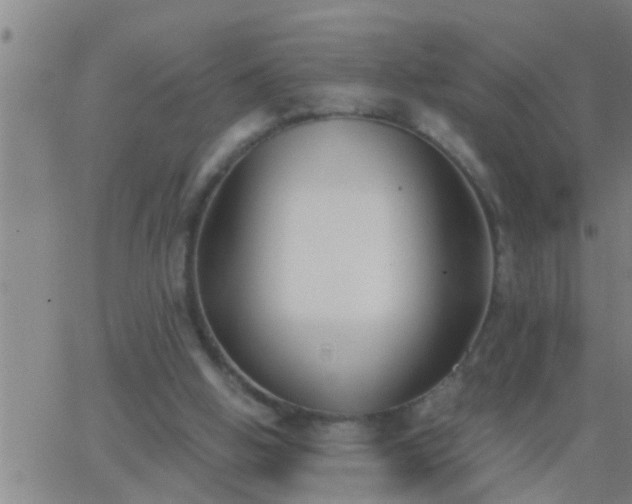 X0000063520058200601271846