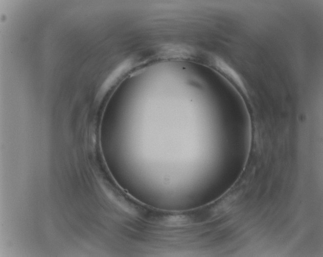 X0000063520059200601271846