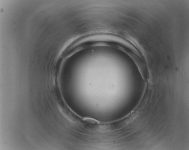 X0000063520060200601271846