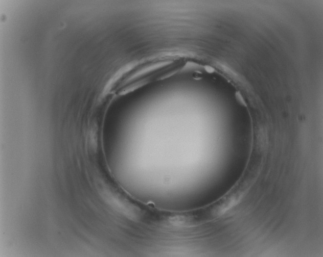 X0000063520064200601271846