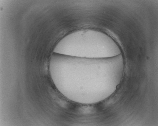 X0000063520065200601271846