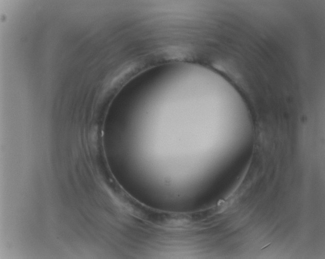 X0000063520066200601271846