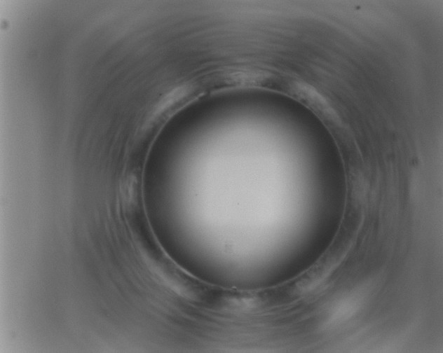 X0000063520071200601271846