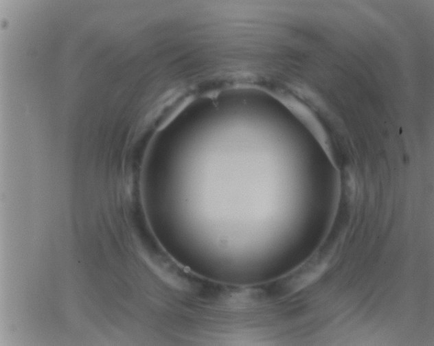 X0000063520072200601271846