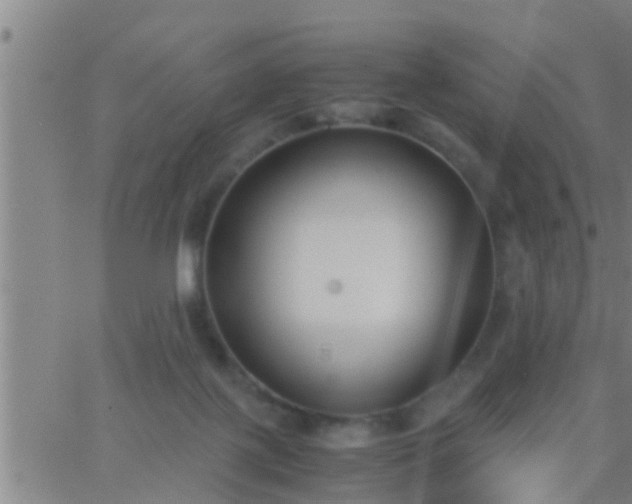 X0000063520075200601271846