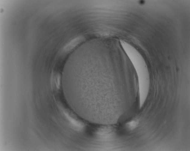 X0000063520076200601271846