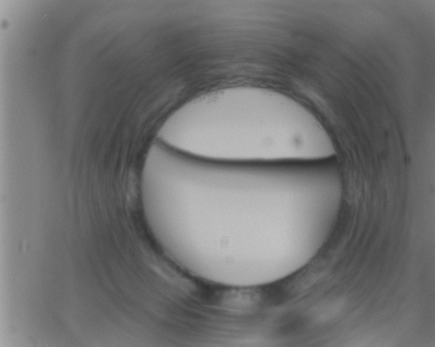 X0000063520077200601271846