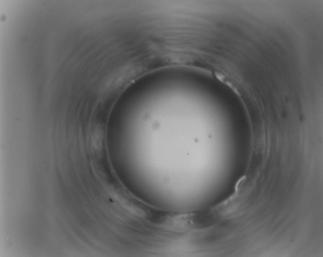 X0000063520078200601271846