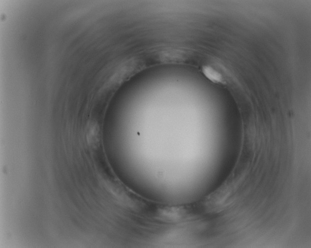 X0000063520079200601271846