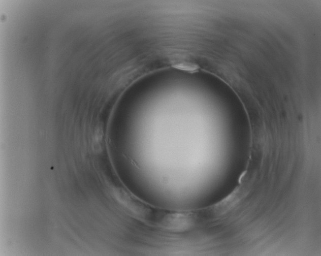 X0000063520082200601271847