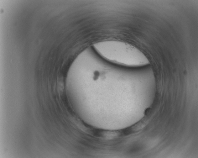 X0000063520085200601271847