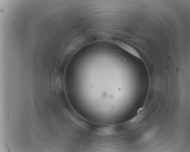 X0000063520086200601271847