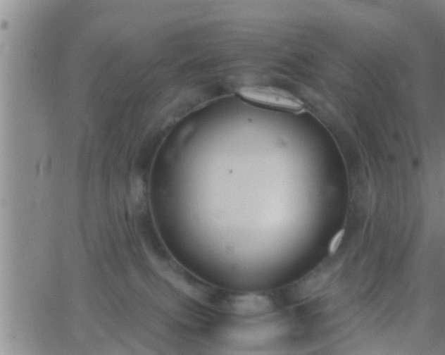 X0000063520087200601271847