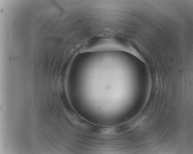 X0000063520088200601271847