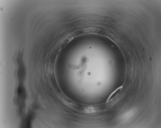 X0000063520091200601271847