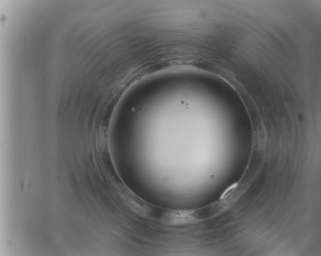 X0000063520093200601271847