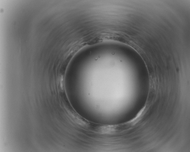 X0000063520094200601271847